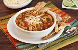 Read more about the article Satisfy Your Cravings with Chicken Tortilla Soup: A Spicy and Nutritious Delight