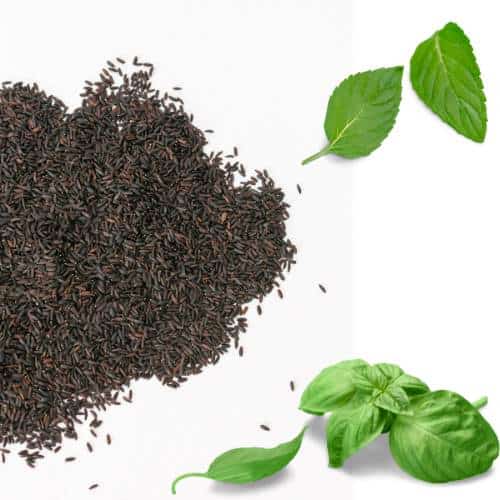 Basil seeds and leaves 